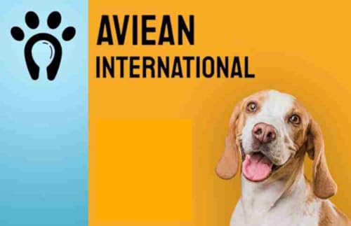 Image of Dog Puppy Biscuit 4 kg Chicken Flavour Soft Oven Baked Biscuit Chicken 4 kg Dry New Born, Young, Adult Dog Food
