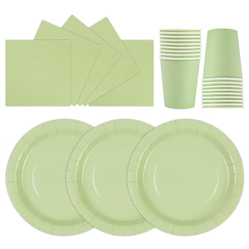HiEnjoin 72 Stück Stück Partygeschirr Set,Salbeigrün Papiergeschirr...