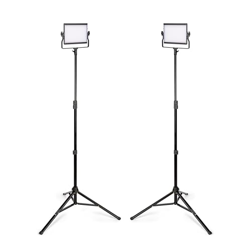 Image of ProMaster Basis B79B 2-Light Transport Kit - Bi-Color 7 inchx9 inch, (Model 77897)