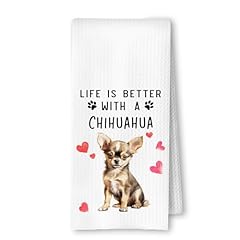 Chihuahua Life is Better