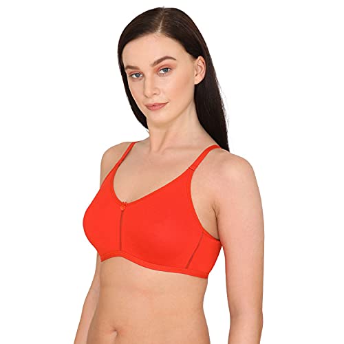 Image of Zivame Women Padded Bra