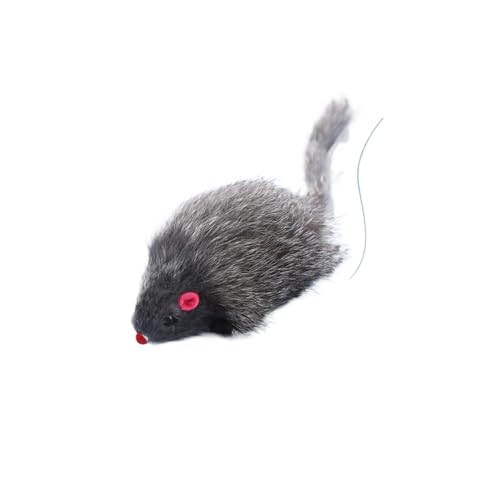 ybgpiETM̖уlY~ɂ͋΂܂܂Ă܂L͎̂ŗVł܂L̂(3) (O[)