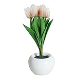 Éclairage confortable : lampes tulipes à lumière chaude pour les chambres, ne blessent pas les yeux. Laissez la lueur chaude et réconfortante des lampes tulipes pour chambre à coucher apaiser votre Cette lumière est assez lumineuse pour être utilisée comme lampe de livre.