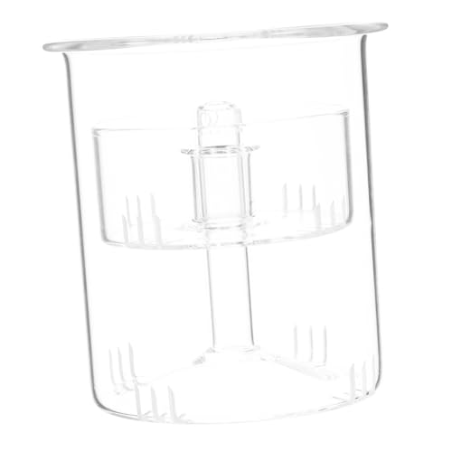 CRILSTYLEO 1 Juego Infusor Vidrio Fina Accesorio Portátil para Tetera para Casa y Oficina Resistente Altas