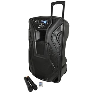 Perform anywhere with ease Lightweight, battery-powered design with trolley handle and wheels for portable entertainment Flexible music playback Bluetooth, USB, SD card, and FM radio for karaoke, DJ sets, and personal playlists Speak and sing freely ...