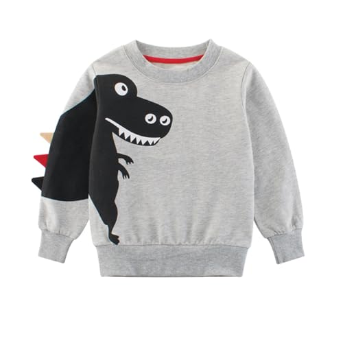 Pull dinosaure col rond enfant vêtement décontracté garçon actif chaud