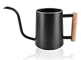 Dmyond Indoor Watering Can with Long Spout, 35oz/1L Small Watering Can, Stainless Steel Metal Plant