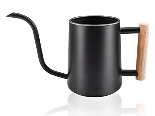 Dmyond Indoor Watering Can With Long Spout, 35Oz/1L Small Watering Can, Stainless Steel Metal Plant Watering Can, Plant Accessories, For House Outdoor Garden Decorative Watering #TOP7