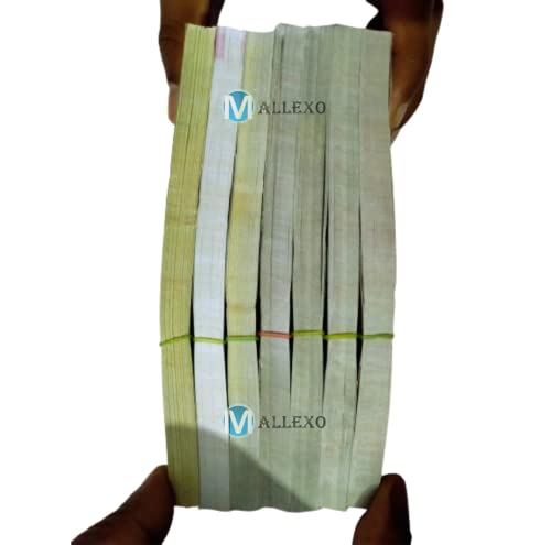 MALLEXO 300PCS US Dollar Money Toys for Kids 3+ | DUMMY Currency Coupons 6 Design Doller Notes for Boys and Girls Learning | Education Toy Nakli Notes Playing Money Game Set Playing & Party Favor Item