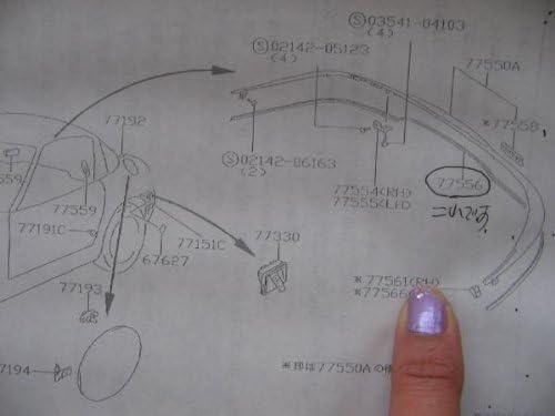 Amazon | スズキ向け カプチーノ(EA11R/EA21R) エッジプロテクタ