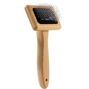 Asyduey Haustier Demattierung Kamm für Kleintiere