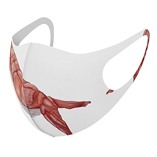 [igsticker] fUC }XN QZbg |GXe 􂦂 z}XN jp 019877 i i Sushi 