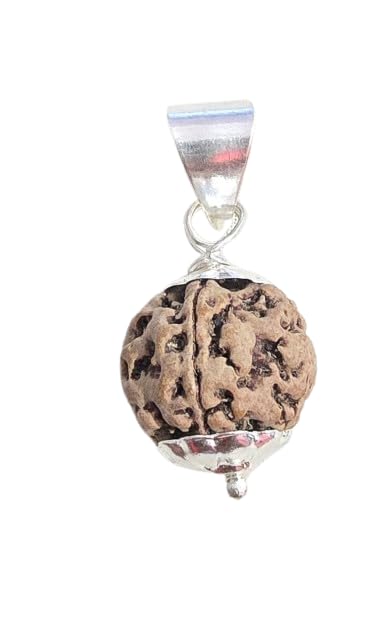 1 Mukhi Rudraksha Original Certified Nepali Beautiful Moon Oval Shape Excellent One Face Rudraksha Ekmukhi Rudraksh Rudraksha Beads[APSLOOSE7662]