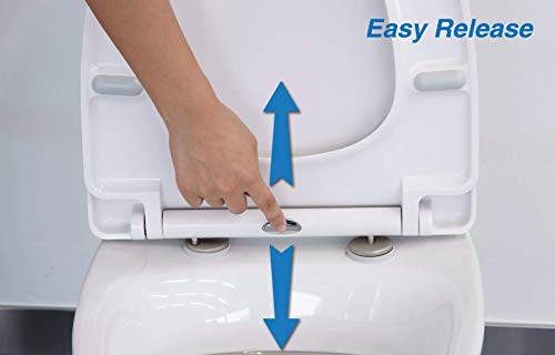 Abattant WC design en forme de D avec charnières rapides haut de gamme