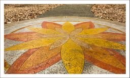 Walttools | Water-Based Concrete Stain Tru Tint (Whitewash) 1 QUART - Professional Grade, Eco-Friendly, Safe & Easy to Use (40 Colors Available) Also for Pavers, Natural Stone, Cement, Vertical
