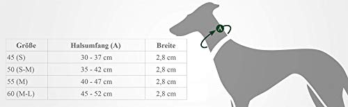 HUNTER MADEIRA SPECIAL Hundehalsband, Leder, griffig, anschmiegsam, 60 (M-L), schwarz