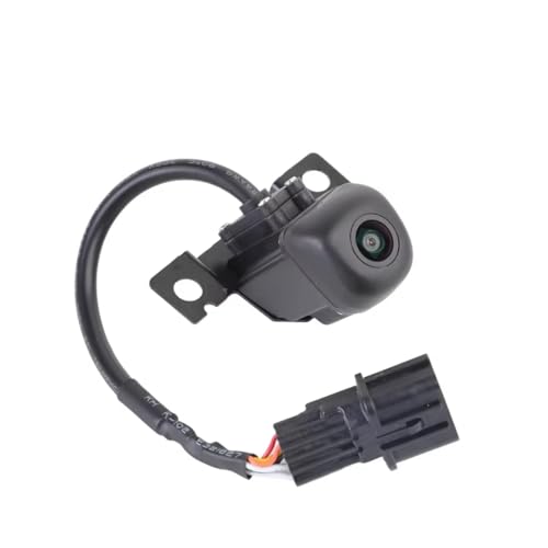 Caméra de Recul 95760-B8650 Résout Écran Noir Stationnement Hyundai Santa Fe XL