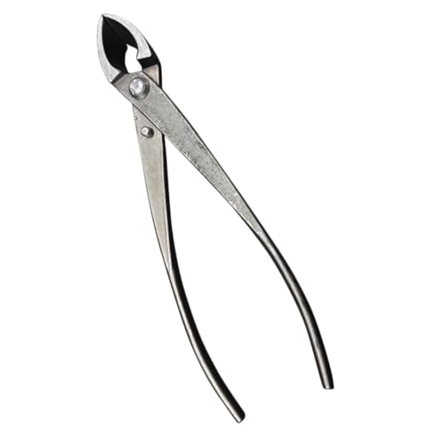 KESYOO |p~͙ Όؒfpς \ȋ͎}؂͂ GSm~bNObvŔJy |XOуei