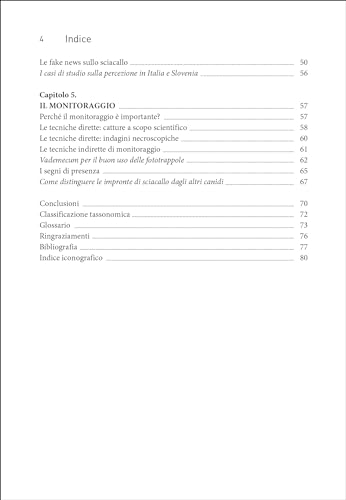Lo Sciacallo Dorato In Italia - 4