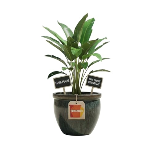 Teramico Macetero de cerámica modelo Bavaria en bonitos colores y tamaños (verde musgo, 29 cm x 23 cm)