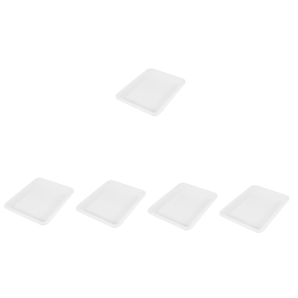 SOESFOUFU 5pcs Lab Equipment Tray 2.5cm Deep Acid Alkali Resistant Display Tray for