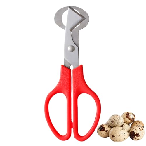 Tijeras De Huevo De Codorniz, Cortador De Huevos De Acero Inoxidable, Tijeras De Hu-evo Pequeñas, Huevos De Cod-orniz, Tije-ras De Hu-evo De Cod-orniz De Acero Inoxidable