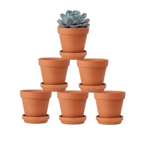 Riseuvo 4 Inch Terracotta Pots with Saucer 6 Pack Small Clay Flower Pots with Drainage Hole for Succulents Herbs Indoor & Outdoor Plants Wedding Favors