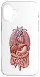 Hülle für iPhone 16 Plus Menschliche Anatomie Innere Organe Biologie Kunst