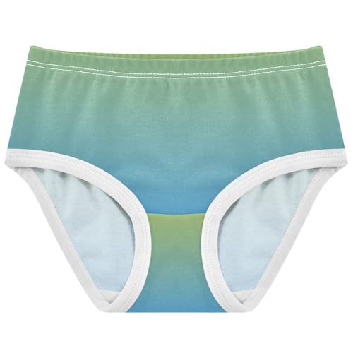 Joisal Cotton Girls Underwear Toddler Ombre Green Blue Gradient Girl Panties Cute Fun Kids Briefs Undies 2t