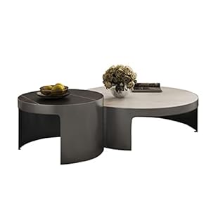 TJLSS Design Moderne métal Petite Table Basse Ardoise Blanche Dessus de Table Salon Center Table Meubles de Maison (Color : B, Size : As Shown)