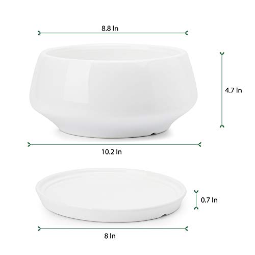 Greenaholics White Ceramic Plant Pot - 8.8 Inch Indoor Wide Planter Large Round Bowl Pots with Saucer and Drainage Hole for Scindapsus Aureum and Ivy Vine