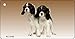 SMART BLONDE Cavalier King Charles Spaniel Novelty Metal Key Chain KC-2162