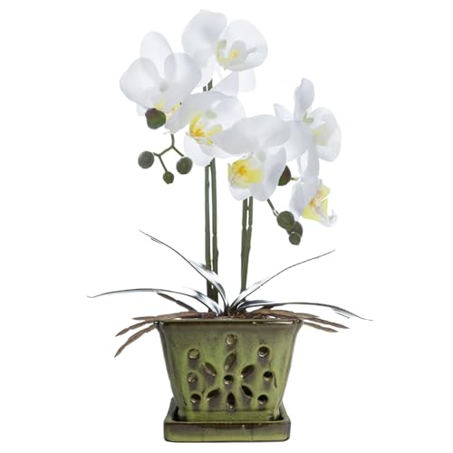 vensovo 5.5 Inch Orchid Pot with Holes Rectangular for Repotting,