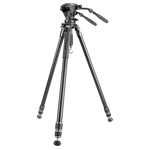 Viene fornito in kit con la testa video a 2 vie PV-20 per registrazioni video stabili e persino per l'uso con teleobiettivi o cannocchiali.
