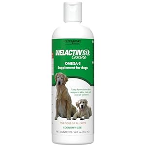Nutramax welactin omega 3 fish oil skin and coat health supplement liquid for dogs  16 ounce   cucciolini doodles