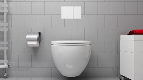 Fischer 9 B, WB 9B, Concealed Fixing for WC and Bidet, with Access from Below, 2 Devices wb9 b with Tube, White, 2 Black funnels, 2 Pipes No Kind, 34-47