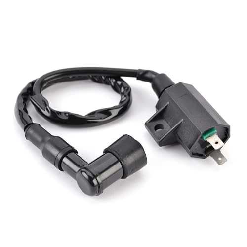 Bobine d'allumage 21121-1160 pour éliminer les ratés moteur sur Bayou 250