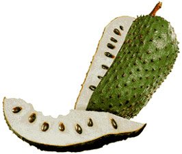 Zumo de graviola (guanábana) concentrado