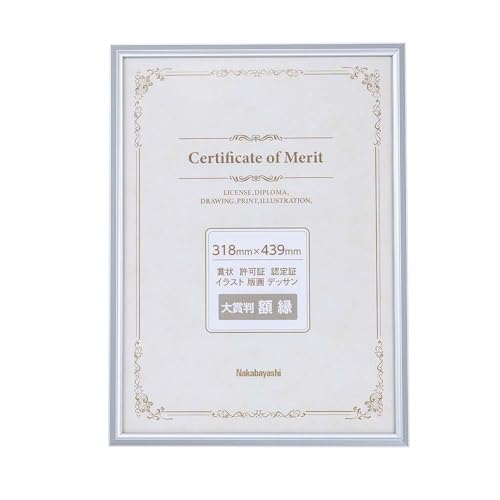 ナカバヤシ アルミ賞状額/大賞賞状サイズ/シルバー F-SA-106-SV