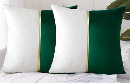Image of HIMS Velvet Sofa Pillow Cover Set of 2, Luxury Cushion Cover 18 inch x 18 inch for Decorative Living Room Sofa Bedroom Car (18x18 Inch, Green)