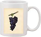 black spanish grape trellis Ceramic Mug bnft