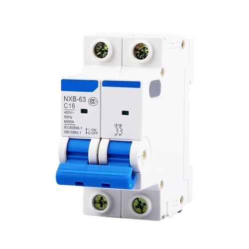 Disjoncteur miniature NXB-63 2P 20A C pour la protection tableau