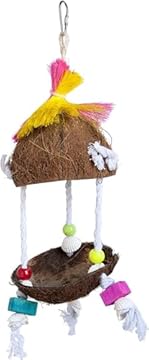 Bird toys for cockatiels that like coconut – Explore these fun options! 2 bird toys for cockatiels that like coconut