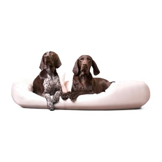 dibea Hundebett Hundekissen Hundekörbchen mit Wendekissen meliert Größe S 60x50 cm Farbe beige 7 tierlando® ORTHOPÄDISCHES HUNDEBETT Sammy VISCO | Kunstleder | HUNDESOFA | L - XXXXL | (Creme Beige Gr. XXL 140 cm