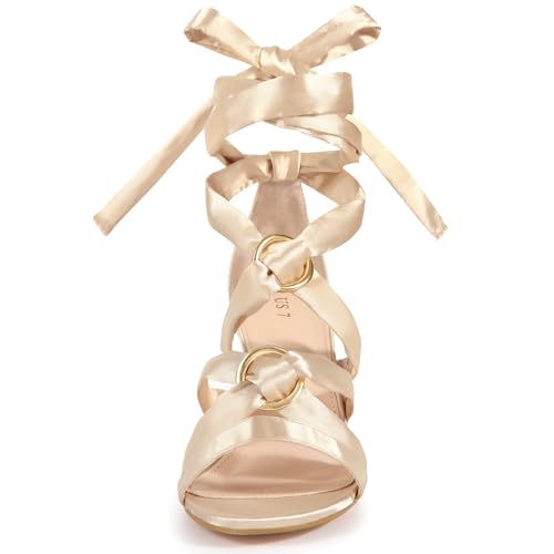 Allegra K Women's Strappy Lace Up Satin Chunky Heel Sandals2