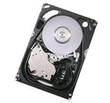 HUS156045VLS600- Disco da 15 K 6G LFF rigido 450 GB sas