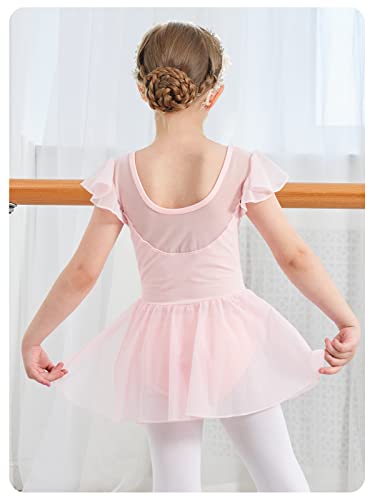 Dance Leotard for Girls Toddler Ballet Leotards with Skirt Flutter Sleeve Ballet Dress Dance Outfit 2-9 Years2