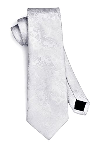Hisdern White Mens Tie Paisley Floral Ties For Men Solid Classic Formal Handkerchief Men's Neckties And Pocket Square Set Tuxedo For Wedding #TOP6