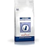 Royal Canin Neut Sat Bal Cat Food, 8 kg