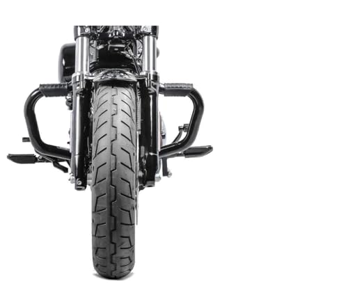 Sturzbügel + Sissybar SR1 Kompatibel mit Harley Sportster Forty-Eight 48 Special 18-20